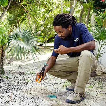 Technician Inspecting Termite Sentricon System